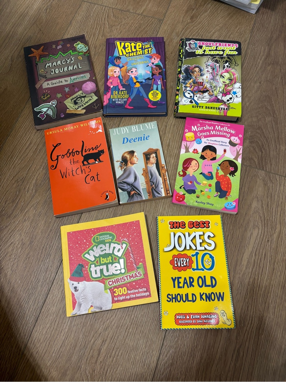 8 kids chapter books-chapter book bundle